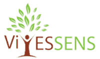 Logo Vivessens | Coaching | hébergement site web Canada