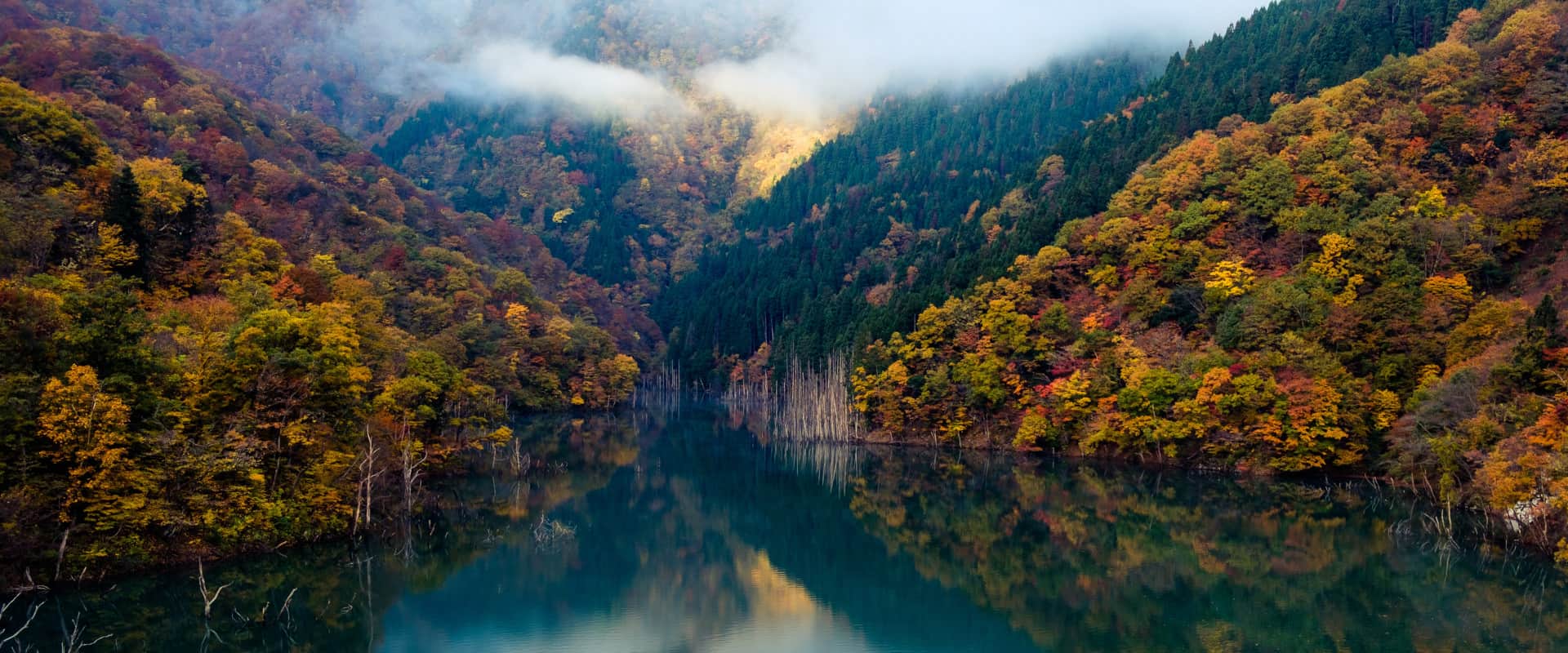 Green Hosting, photo by Sora Sagano