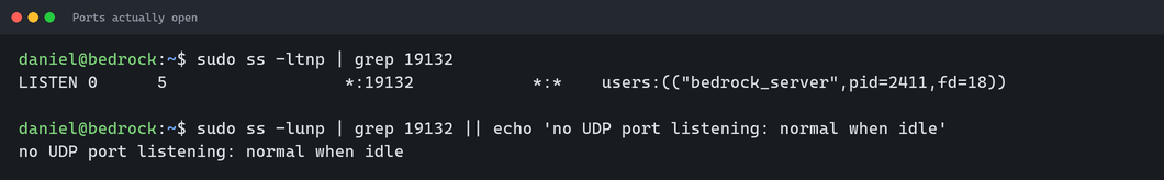 The ss command shows TCP port 19132 listening and no UDP port, which is normal when idle