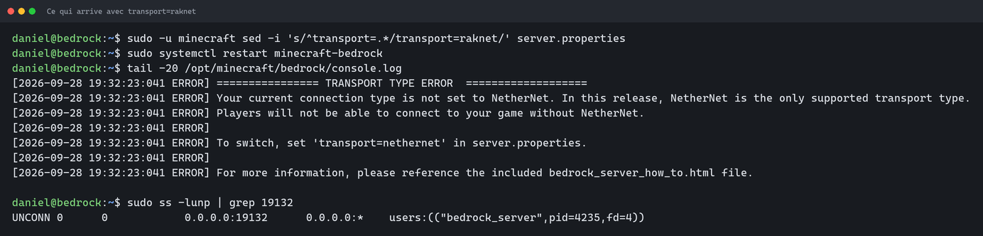 Le journal du serveur affiche TRANSPORT TYPE ERROR et indique que NetherNet est le seul transport pris en charge, alors que le port UDP 19132 est bien ouvert