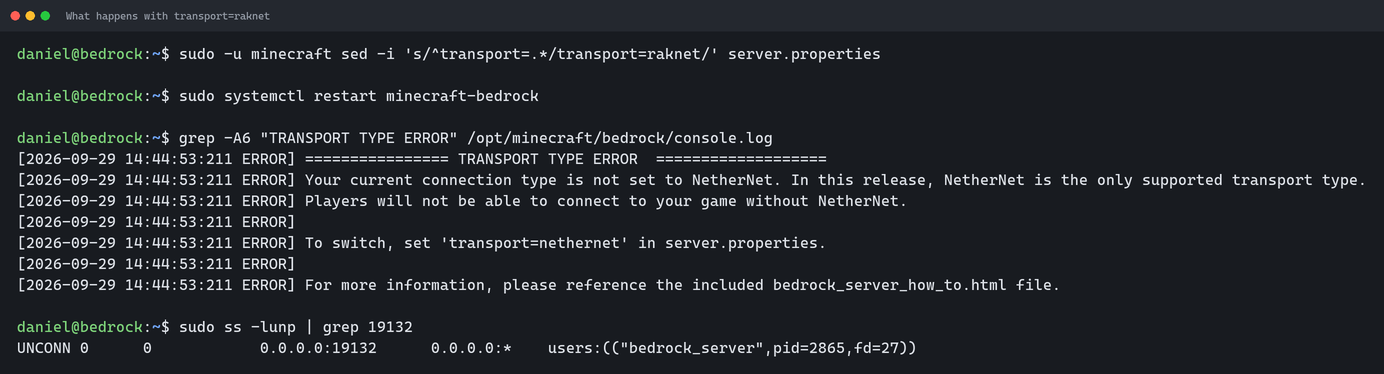 The server log shows TRANSPORT TYPE ERROR stating that NetherNet is the only supported transport, even though UDP port 19132 is open
