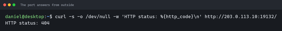 A curl request to port 19132 of the server returns HTTP status 404